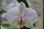     
: DSC_6595.jpg
: 6
:	54.6 
ID:	9364505
