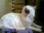     
: Photo-0792.jpg
: 23
:	29.5 
ID:	936452
