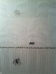     
: IMG_20141126_090423.jpg
: 15
:	92.5 
ID:	9366586