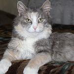     
: yqLuDN3xkDA.jpg
: 12
:	75.5 
ID:	9366685
