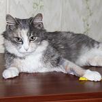     
: TA-PnUxg2uE.jpg
: 8
:	62.5 
ID:	9366686