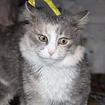     
: SoXqXjmBY5Q.jpg
: 8
:	63.0 
ID:	9366687