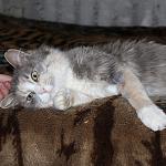     
: qR4N47h97V8.jpg
: 8
:	81.7 
ID:	9366688