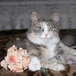     
: 3d-7AqogcQg.jpg
: 8
:	68.8 
ID:	9366690