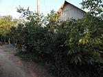     
: DSCN0532.jpg
: 32
:	212.0 
ID:	9369060