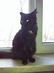     
: IMG_1775.jpg
: 10
:	48.6 
ID:	9369084