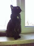     
: IMG_1776.jpg
: 5
:	46.5 
ID:	9369091