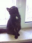     
: IMG_1777.jpg
: 9
:	56.8 
ID:	9369092