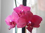     
: DSCN1946.jpg
: 7
:	93.0 
ID:	9373035