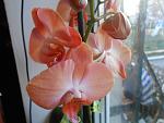     
: DSCN1975.jpg
: 6
:	88.2 
ID:	9373055