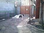     
: image (2).jpg
: 13
:	156.2 
ID:	9374254