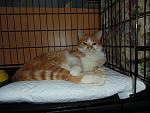     
: DSC03395.jpg
: 11
:	114.7 
ID:	9375949