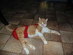     
: DSC03297.jpg
: 9
:	152.1 
ID:	9375950