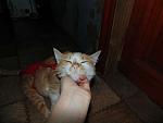     
: DSC03380.jpg
: 9
:	70.3 
ID:	9375952