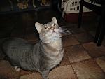     
: DSC03339.jpg
: 14
:	121.8 
ID:	9375983