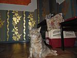     
: DSC03317.jpg
: 11
:	130.2 
ID:	9375984