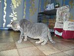     
: DSC03332.jpg
: 10
:	183.2 
ID:	9375985