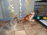    
: DSC03360.jpg
: 13
:	184.2 
ID:	9375996