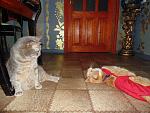     
: DSC03366.jpg
: 9
:	170.0 
ID:	9375997