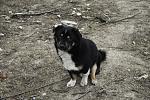     
: IMG_6720.jpg
: 21
:	195.8 
ID:	9376294