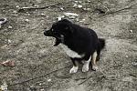     
: IMG_6719.jpg
: 23
:	196.4 
ID:	9376295