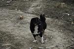    
: IMG_6718.jpg
: 25
:	201.3 
ID:	9376296