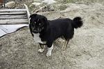     
: IMG_6694.jpg
: 23
:	160.2 
ID:	9376297