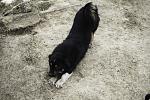     
: IMG_6698.jpg
: 48
:	185.6 
ID:	9376298