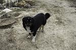     
: IMG_6696.jpg
: 45
:	196.8 
ID:	9376299