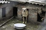     
: IMG_6703.jpg
: 31
:	154.5 
ID:	9376312