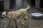     
: IMG_6706.jpg
: 31
:	77.4 
ID:	9376313