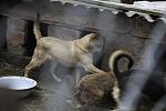     
: IMG_6705.jpg
: 25
:	90.5 
ID:	9376314