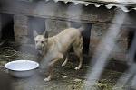     
: IMG_6708.jpg
: 26
:	97.1 
ID:	9376315
