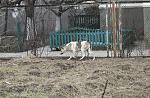     
: IMG_67161.jpg
: 28
:	222.9 
ID:	9376316