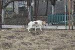     
: IMG_67131.jpg
: 31
:	173.4 
ID:	9376317