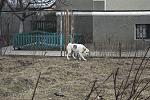     
: IMG_67151.jpg
: 27
:	194.2 
ID:	9376318