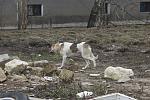     
: IMG_66891.jpg
: 32
:	166.1 
ID:	9376319