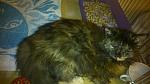     
: DSC_0680.jpg
: 16
:	102.9 
ID:	9378644
