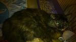     
: DSC_0678.jpg
: 17
:	77.3 
ID:	9378646