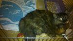     
: DSC_0675.jpg
: 17
:	97.5 
ID:	9378647