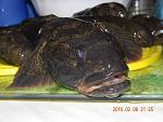     
: DSCN4719.jpg
: 32
:	121.2 
ID:	9380505