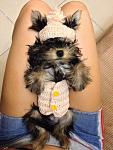     
: XSGNS_TQPS4.jpg
: 19
:	63.9 
ID:	9387063