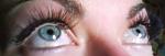     
: x_45886b2e.jpg
: 14
:	24.3 
ID:	9387603