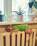     
: 8053b574e52d21b4d0cb8d1bab1348d4.jpg
: 7
:	92.3 
ID:	9389552