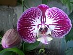     
: DSC_4206.jpg
: 4
:	121.2 
ID:	9392442