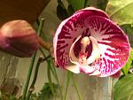     
: DSC_4197.jpg
: 5
:	100.9 
ID:	9392452