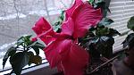     
: DSC06035.jpg
: 9
:	104.0 
ID:	9393691