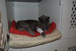     
: _DSC0043.jpg
: 32
:	68.5 
ID:	9395844