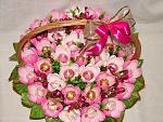     
: DSC08501.jpg
: 105
:	197.7 
ID:	9397359