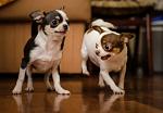     
: DSC_7734.jpg
: 3
:	70.9 
ID:	9397427